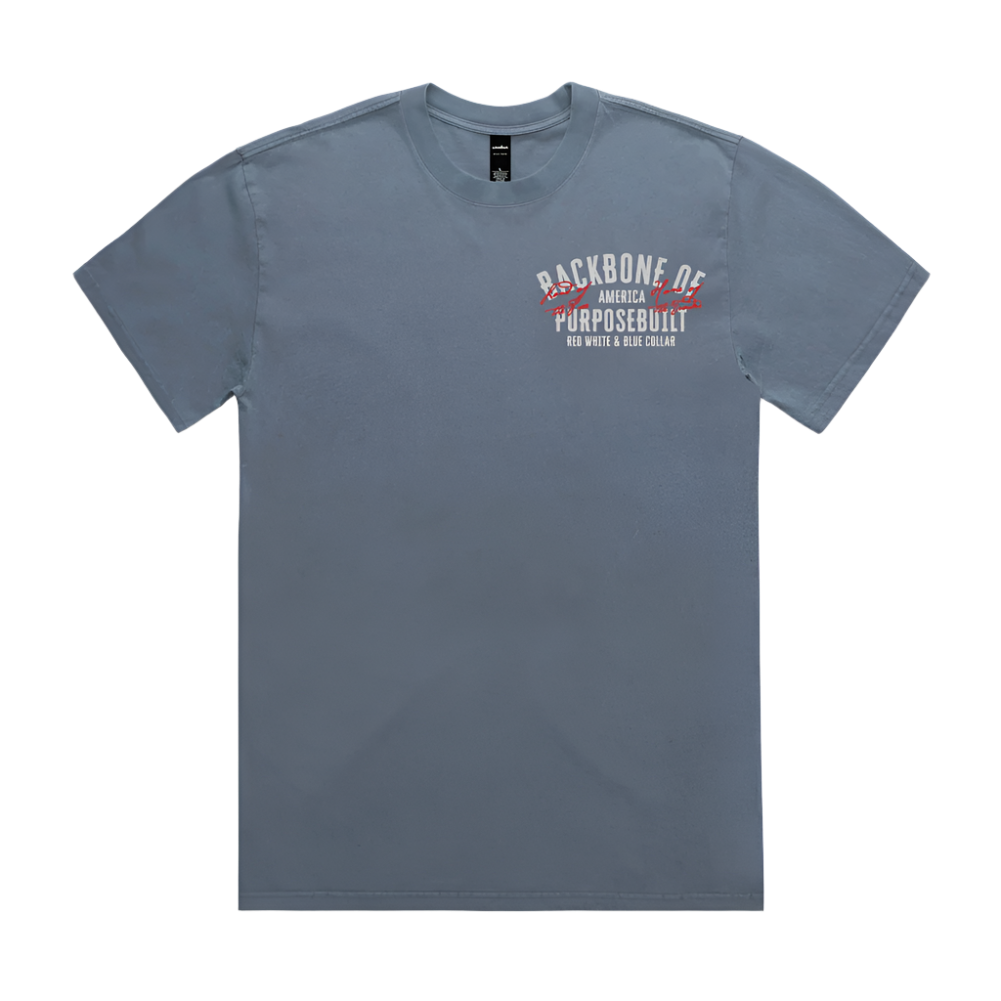 American Eagle HD Tee, Faded Blue