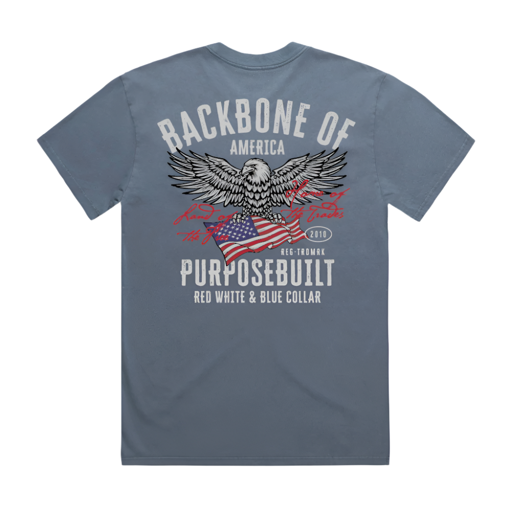 American Eagle HD Tee, Faded Blue